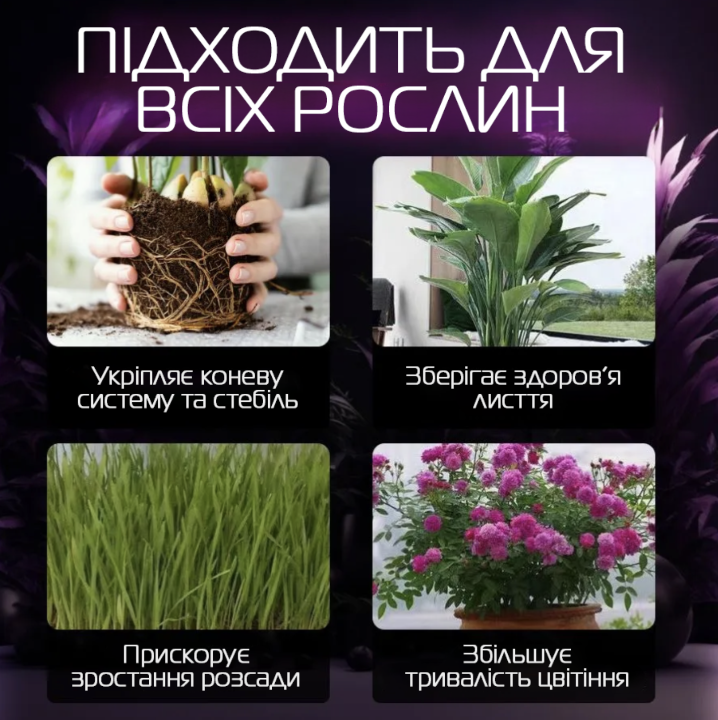 Фитолампа полного спектра 4 LED на прищепке с изменением цвета и таймером (Е500224) - фото 6