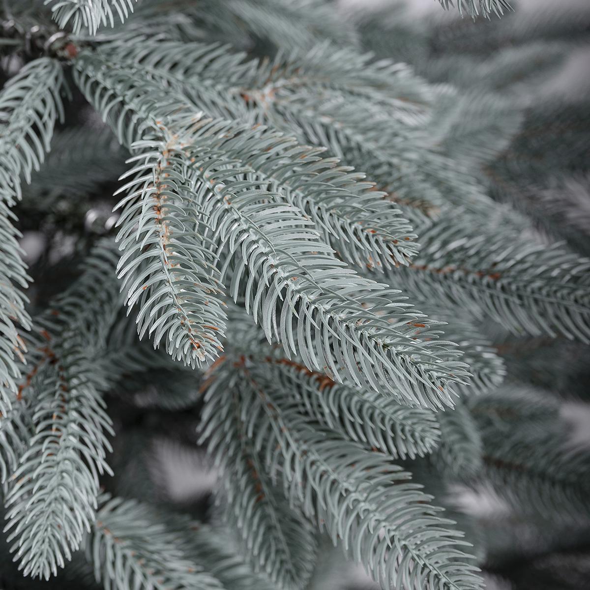 Штучна ялинка лита Буковельська V24 з металевою підставкою 2,30 м Блакитний (NYT15026) - фото 8