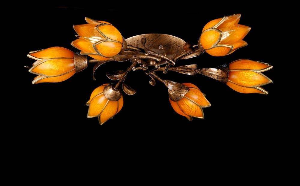 Люстра с плафонами Ray L10010A/6 (IR006079)