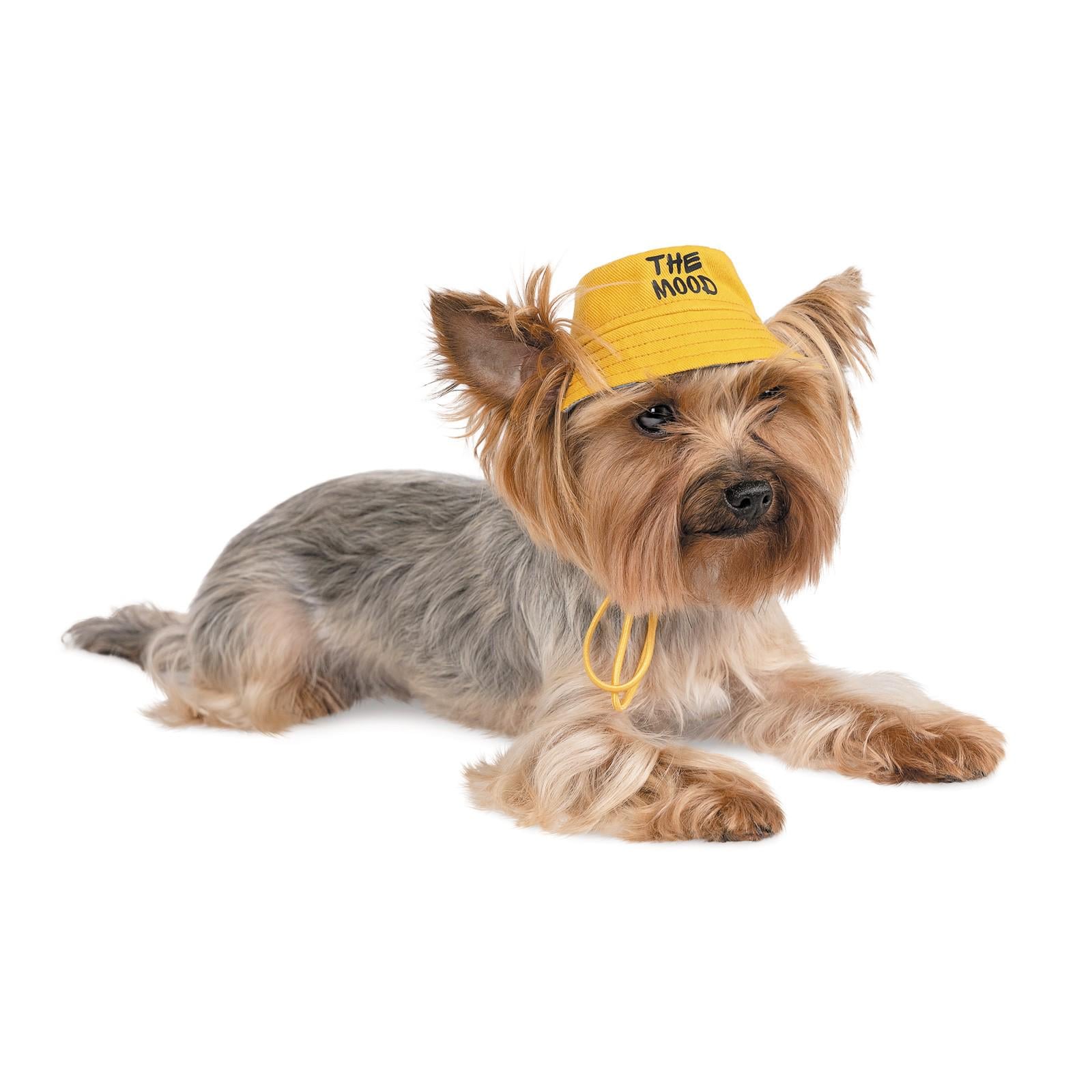 Панама Pet Fashion Party S Желтый (PR242101)
