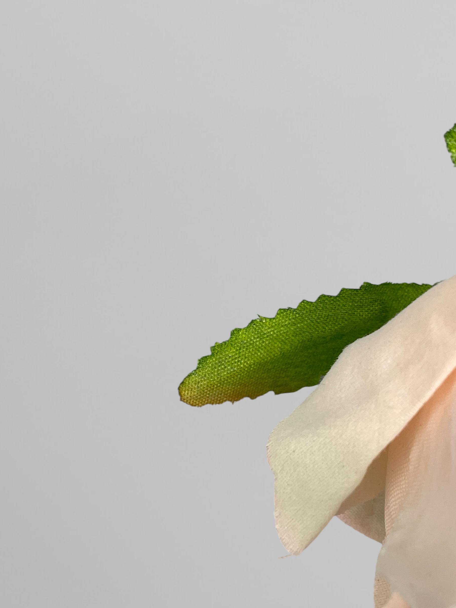 Штучна голівка троянди сатинова для композицій 10 см Персиковий (К02026) - фото 4 Штучна голівка троянди сатинова для композицій 10 см Персиковий (К02026) - фото 4