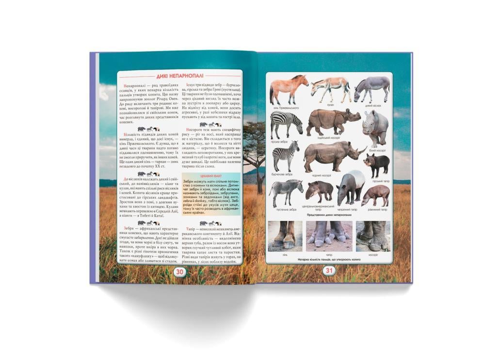 Книга "Ви маєте це знати. Світ звірів" (F00031321) - фото 7 Книга "Ви маєте це знати. Світ звірів" (F00031321) - фото 7
