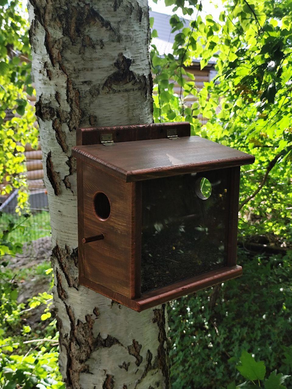 Кормушка для птиц Запутанка бункерного типа из сосновой древесины 30х30х17 см Янтарный - фото 5 Кормушка для птиц Запутанка бункерного типа из сосновой древесины 30х30х17 см Янтарный - фото 5