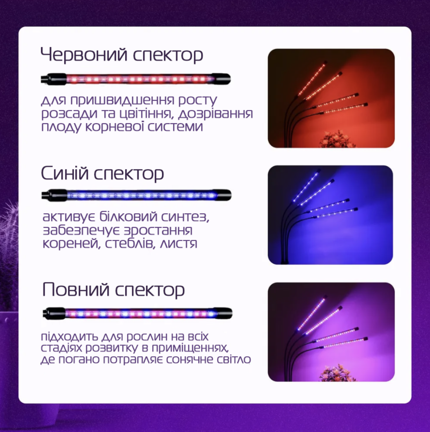 Фитолампа полного спектра 4 LED на прищепке с изменением цвета и таймером (Е500222) - фото 8 Фитолампа полного спектра 4 LED на прищепке с изменением цвета и таймером (Е500222) - фото 8