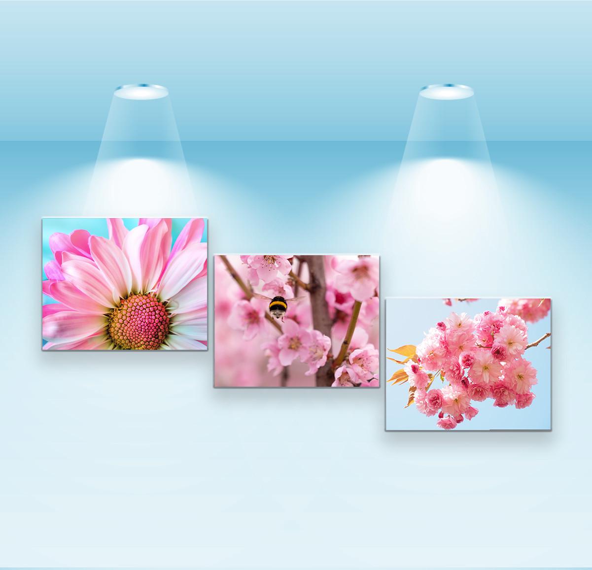 Набор постеров Riviera Blanca Изящные цветы 3 шт. (PS-179)