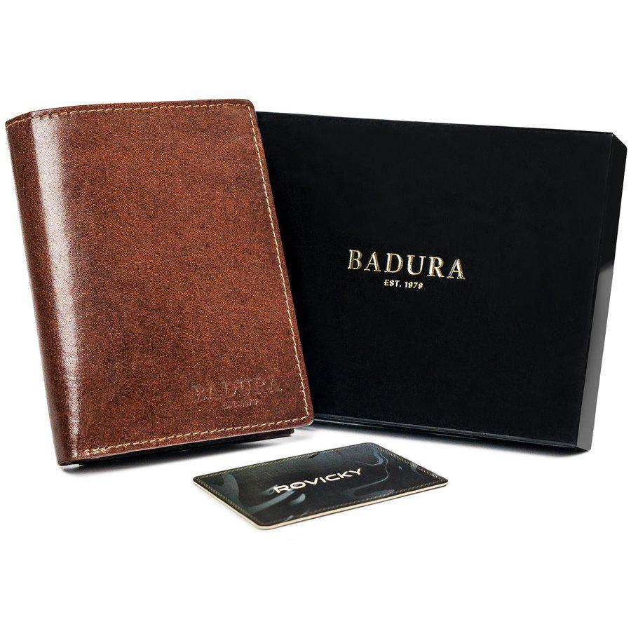 Кошелек мужской кожаный Badura N104-VT-NL BROWN