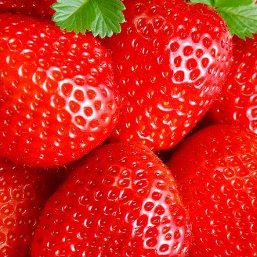 Сажанец Клубника ярко-Красный Ариэль Ariel премиальный ремонтантный очень сладкий 5 шт. (61714)