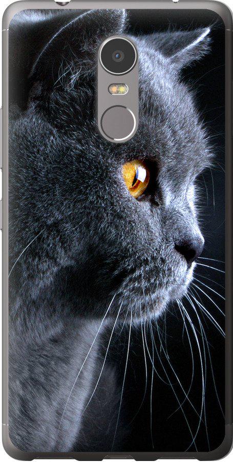 Чехол на Lenovo K6 Note Красивый кот (3038u-453-42517)