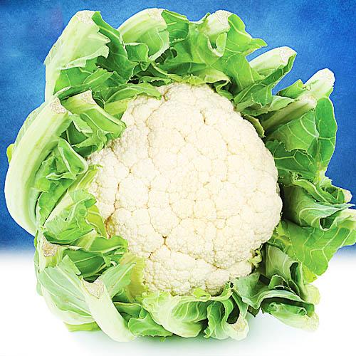 Семена Капуста Florium цвітна Патріот (17572) Семена Капуста Florium цвітна Патріот (17572)