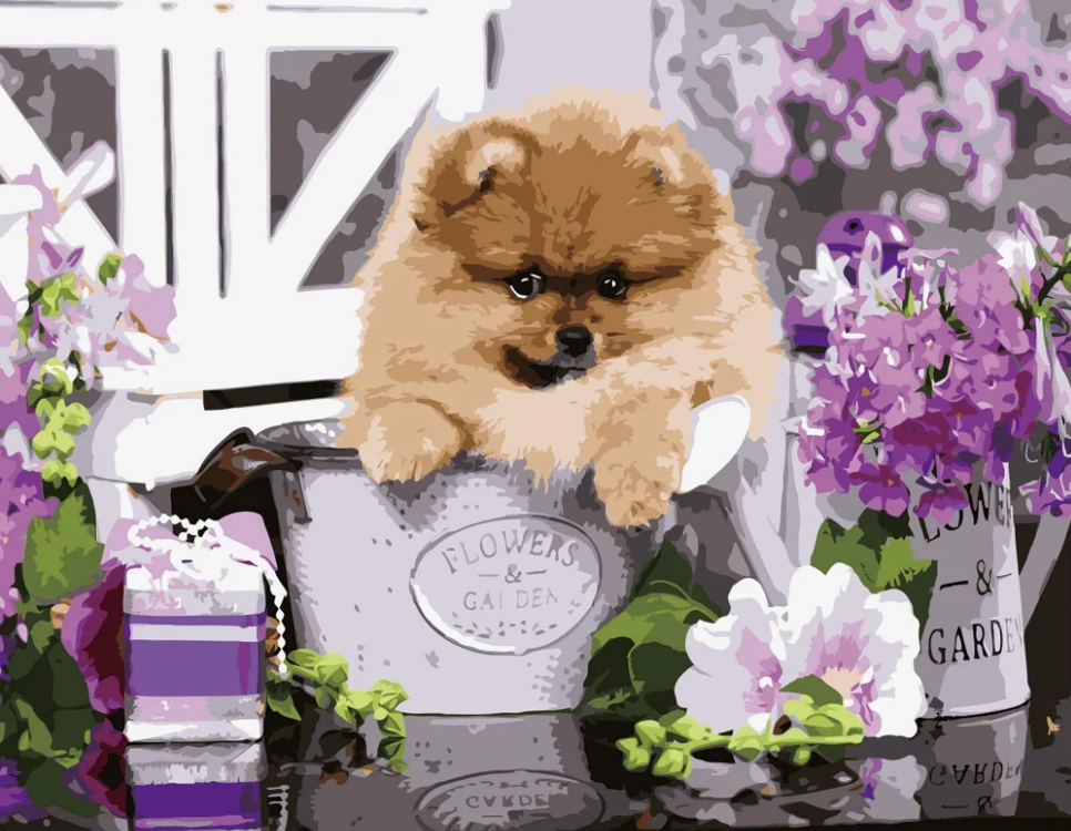 Картина по номерам Strateg Премиум Шпиц в подарок с лаком и уровнем 40x50 см (VA-2675)