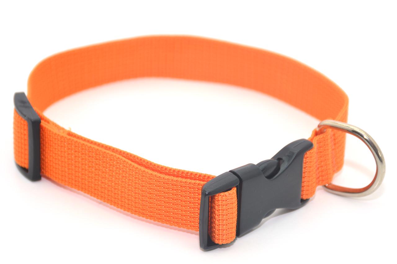 Ошейник Лорі из капрона 2,5/33-44 см Оранжевый