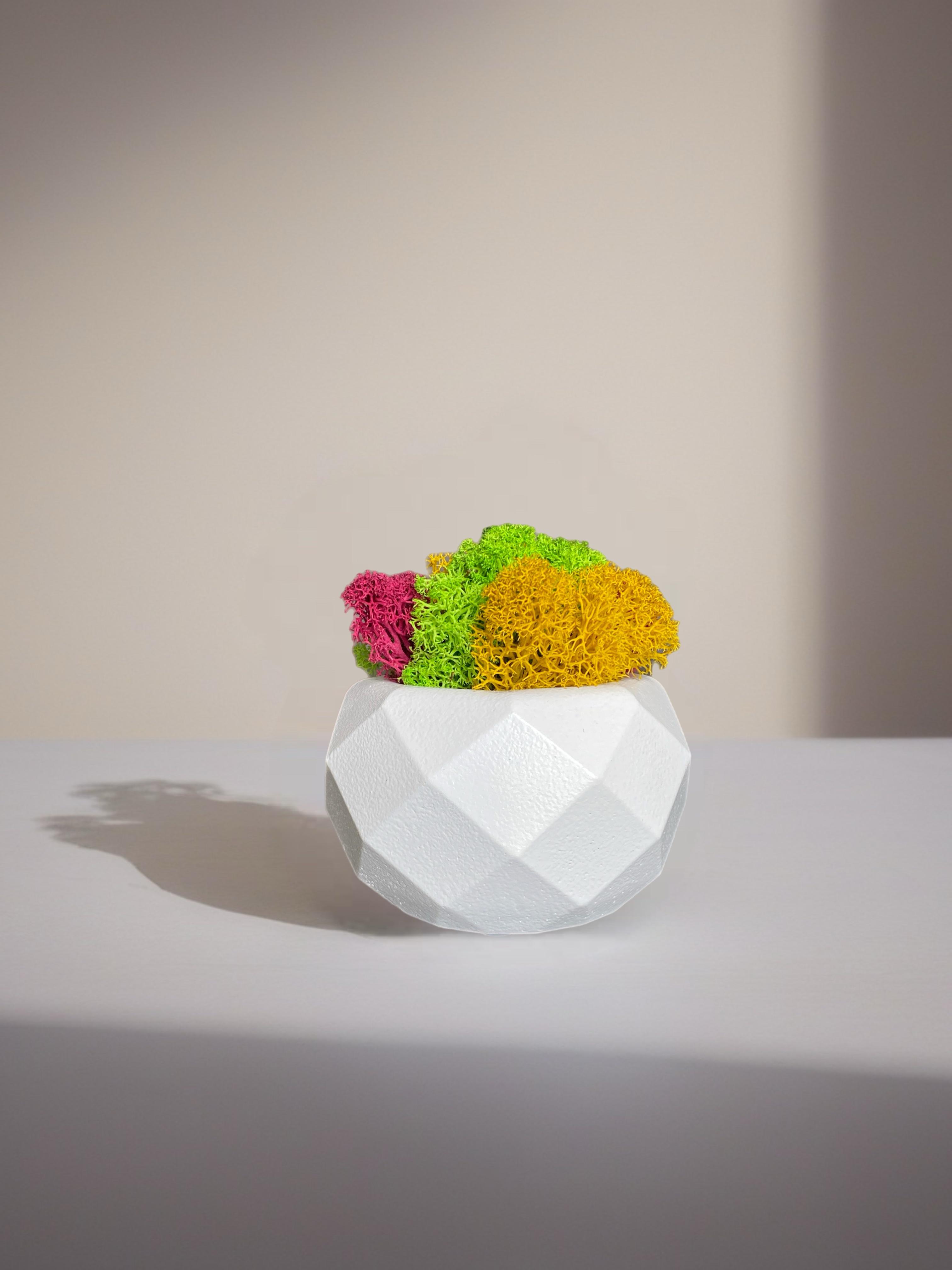 Кашпо с мхом гипсовое (32643943)