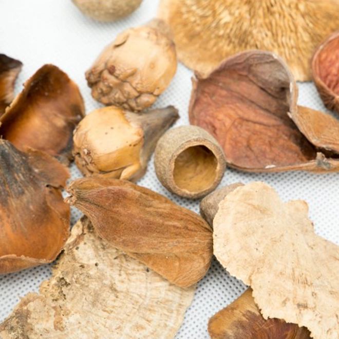 Сухоцвет Natural 1014 13 см (69804) - фото 2 Сухоцвет Natural 1014 13 см (69804) - фото 2