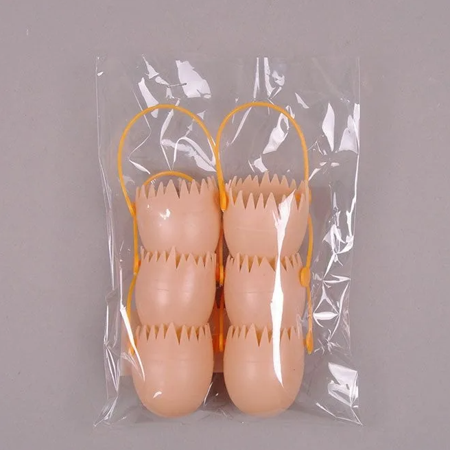 Декорация Скорлупа Flora Коричневый (25812)