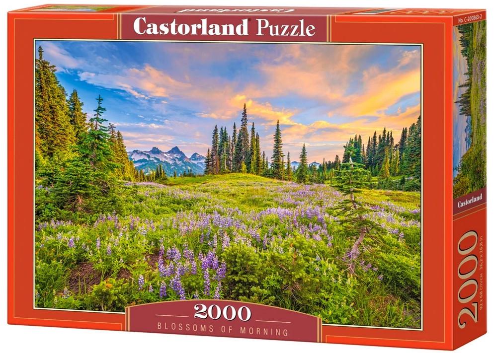 Пазл Castorland Утренние цветы 2000 дет.