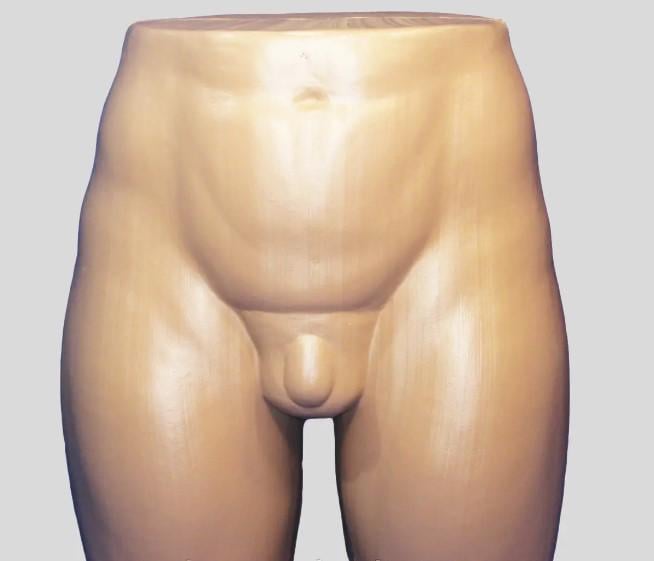 Манекен мужских бедер (AN005933)