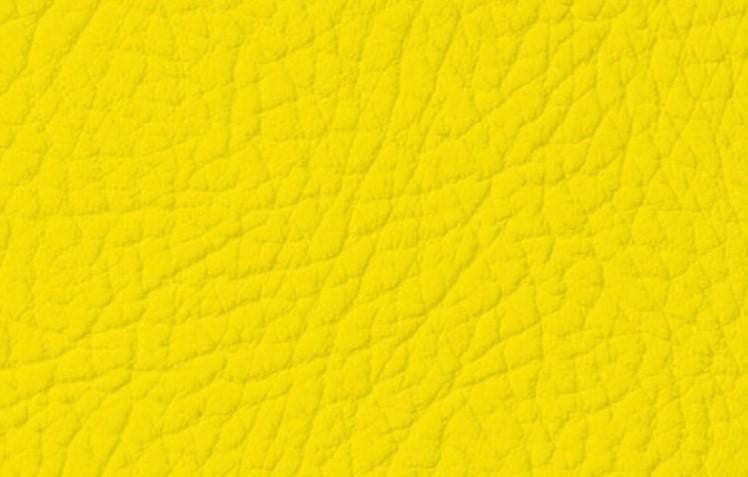 Краска для натуральной и искусственной кожи Leather Expert Colourant 50 г 010 Yellow