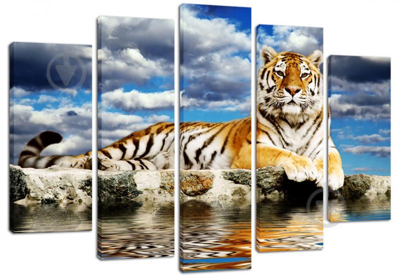 Модульная картина из 5 частей Декор Карпаты 120х80 см (PLM5 97) Модульная картина из 5 частей Декор Карпаты 120х80 см (PLM5 97)