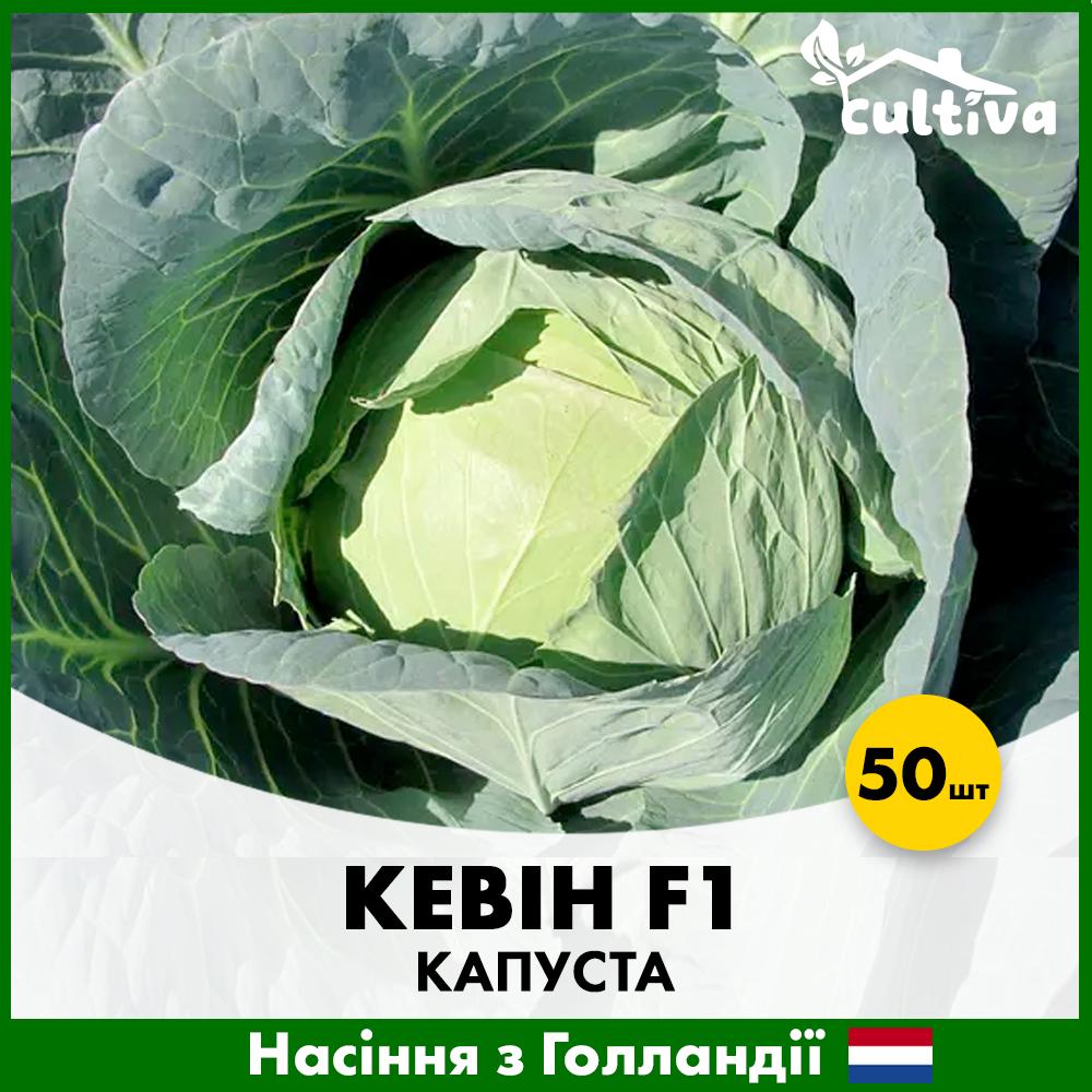 Семена капусты Syngenta Кевин F1 50 шт. (K8-50)