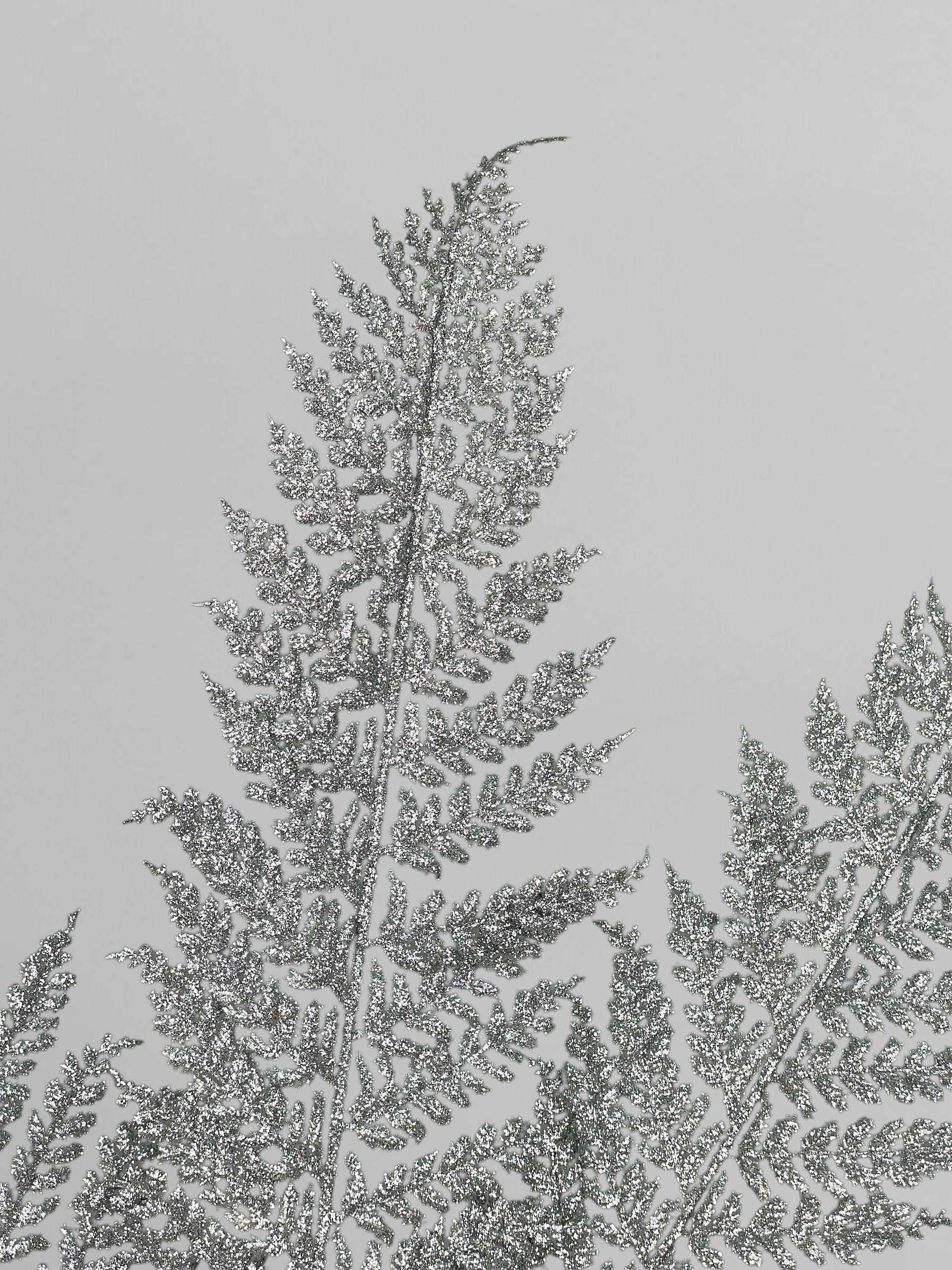 Искусственный папоротник из мягкого пластика с блестками 88 см Серебряный (Р03022) - фото 6 Искусственный папоротник из мягкого пластика с блестками 88 см Серебряный (Р03022) - фото 6