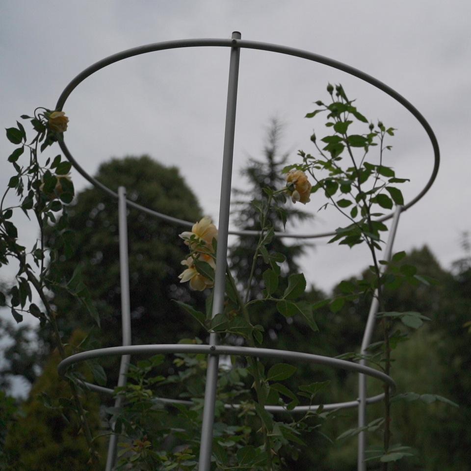 Опора для рослин кільцева на три кільця 1700х800х800 мм (КО-D16/D13-1700*800/600/600) - фото 11 Опора для рослин кільцева на три кільця 1700х800х800 мм (КО-D16/D13-1700*800/600/600) - фото 11