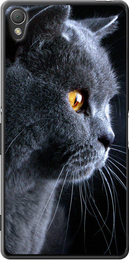 Чехол на Sony Xperia Z3 dual D6633 Красивый кот (3038u-59-42517) Чехол на Sony Xperia Z3 dual D6633 Красивый кот (3038u-59-42517)