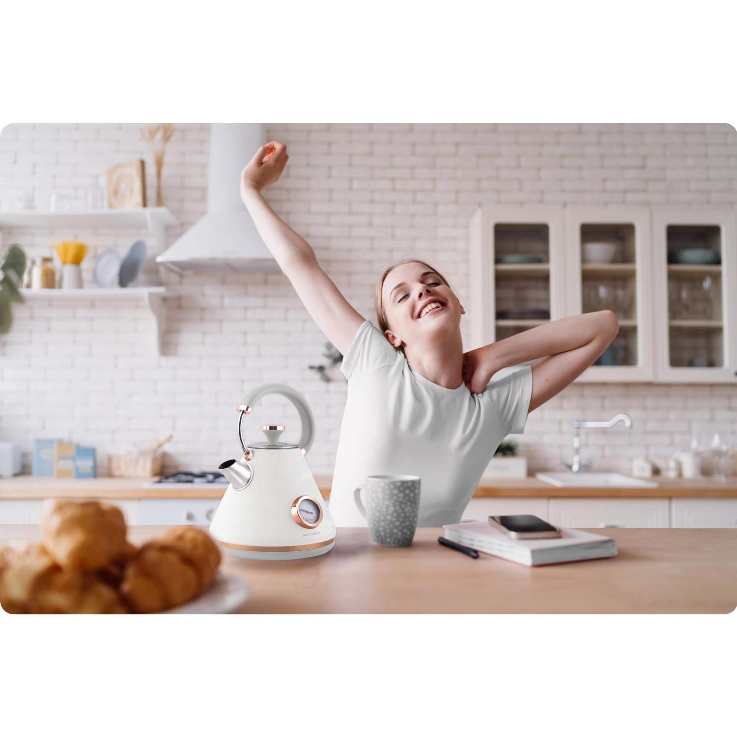 Електрочайник з термометром Berdsen BD-701 1,7 л Білий (370101) - фото 5 Електрочайник з термометром Berdsen BD-701 1,7 л Білий (370101) - фото 5