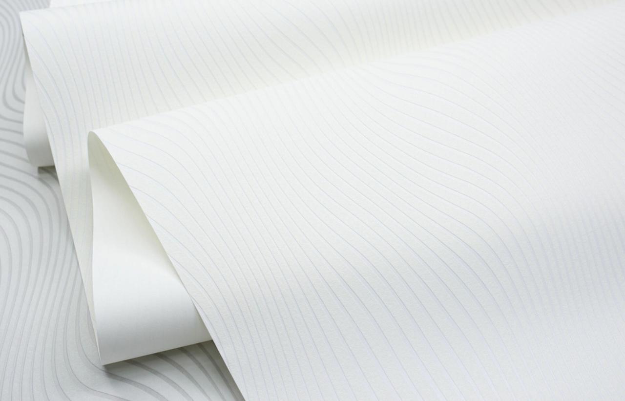 Обои флизелиновые SINTRA Delight UNI 535202 фон вспененный винил 1,06х10,05 м Белый