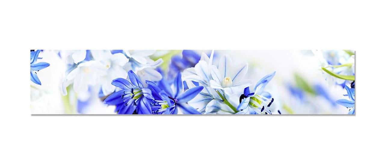 Наліпка вінілова на кухню Zatarga Проліски 600х3000 мм (1283915246) Наліпка вінілова на кухню Zatarga Проліски 600х3000 мм (1283915246)