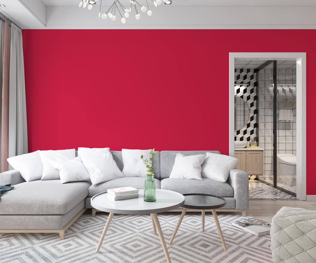 Краска интерьерная латексная Skyline 1070R (C) 3 л Букет роз (650c0cc54bc23147a0718a1c) - фото 3