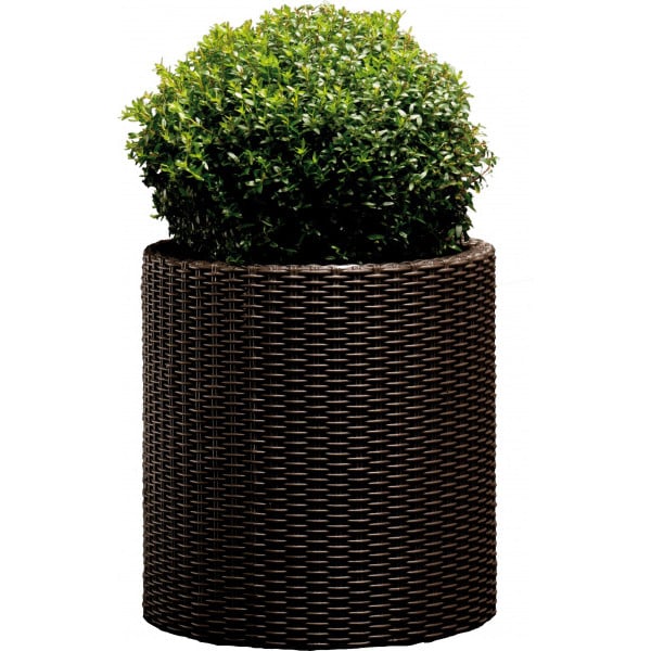 Горшок Keter L Cylinder Planter Коричневый (17197934521_L)