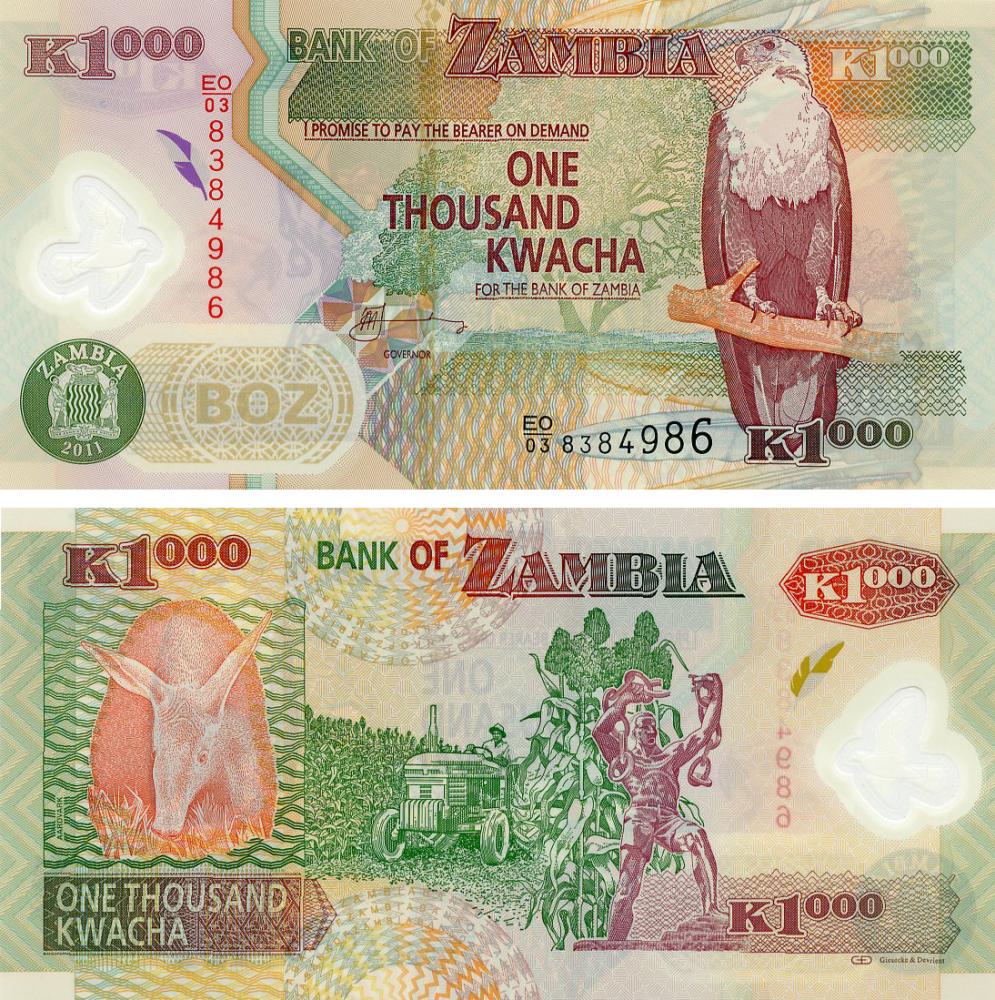 Коллекционная банкнота Замбия 1000 квача 2011 полимер UNC Животное-Трубкозуб (P44i)
