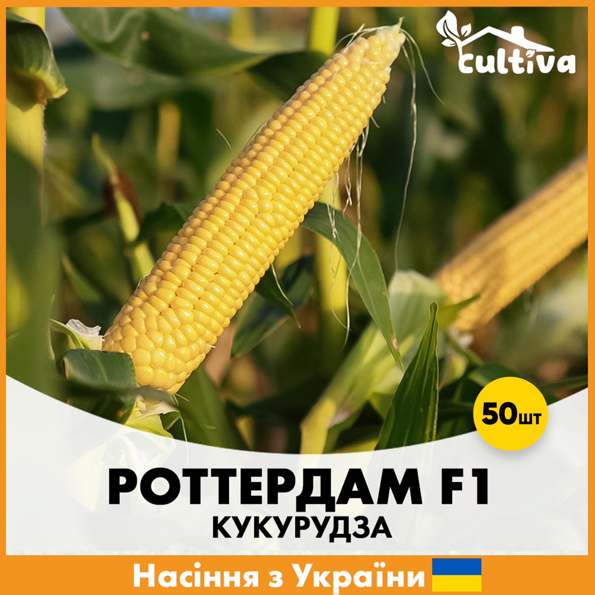 Семена кукурузы Мнагор Суперсладкая Роттердам F1 50 шт. (R5114650)