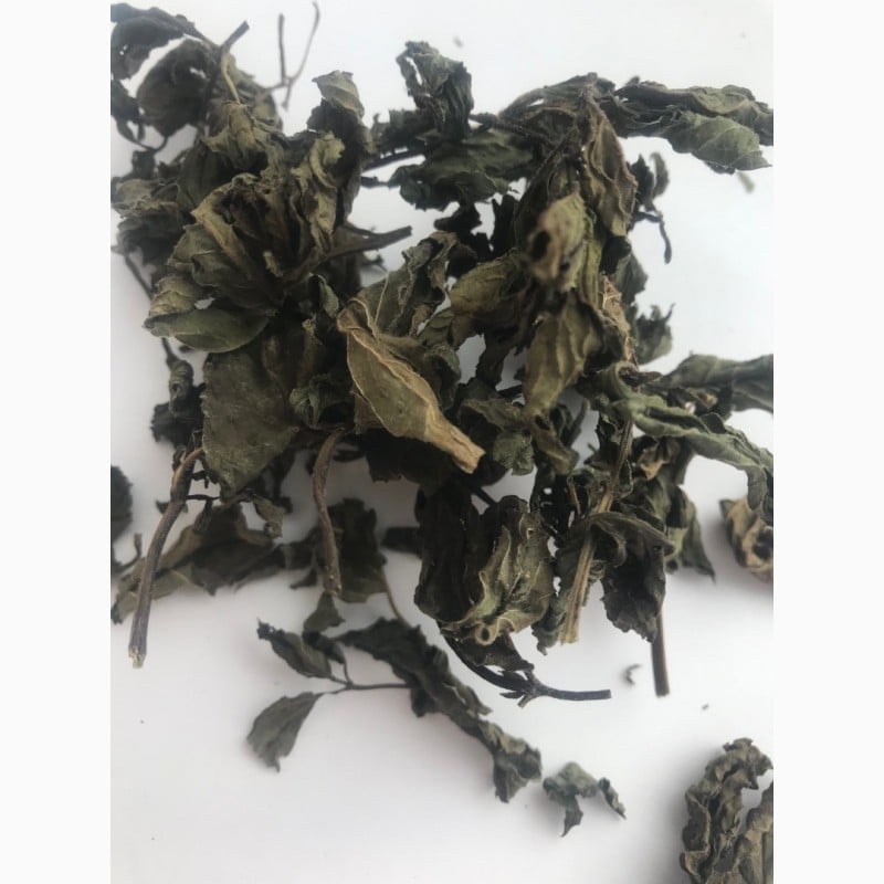 М'ята лист Карпаты 50 г (6076b0ee3793e8544c158782)