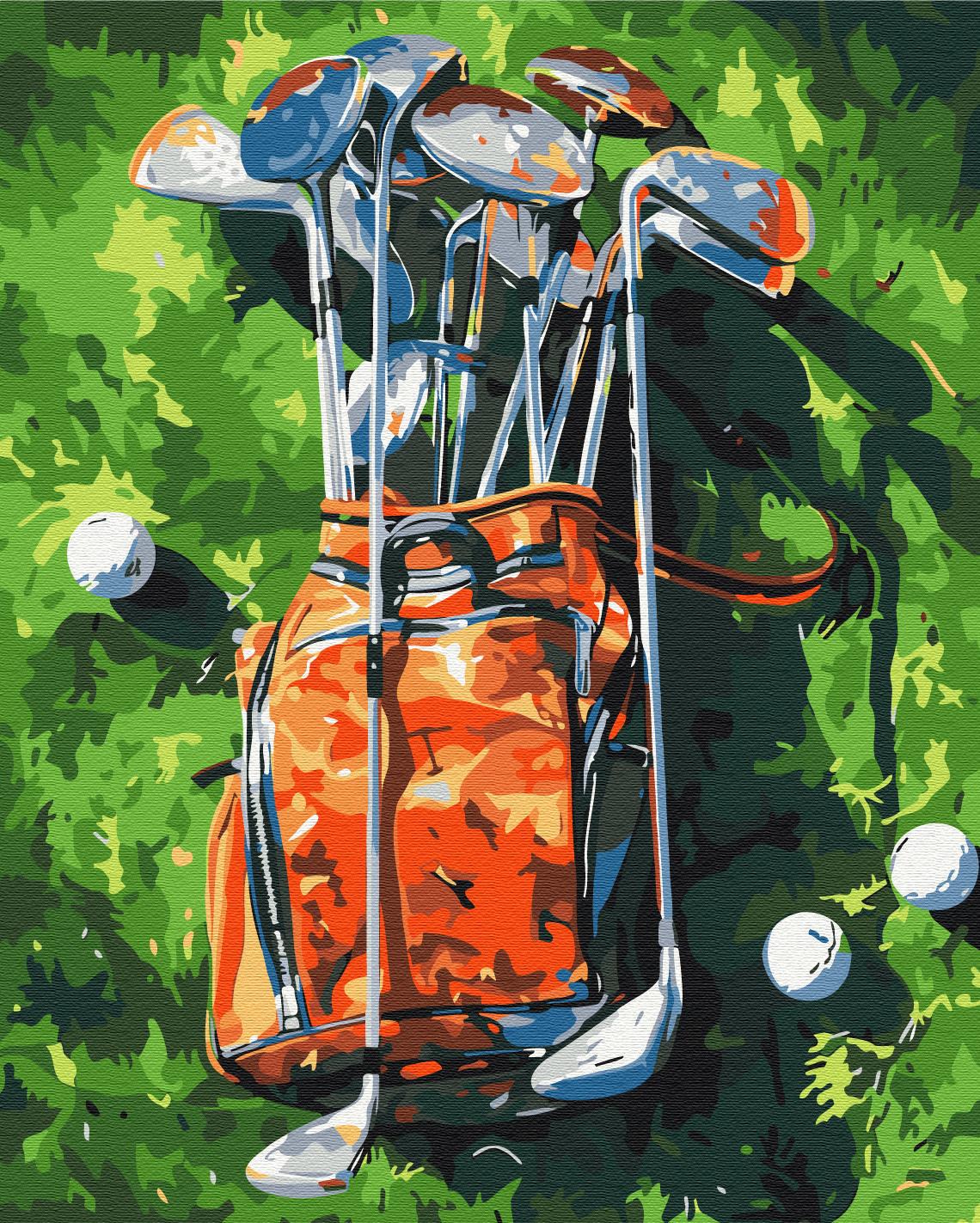 Картина по номерам Brushme Миг для гольфа 40x50 см (BS54106)