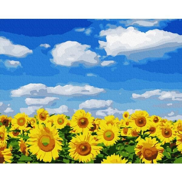 Картина по номерам Brushme GX32422 Поле подсолнухов 40x50 см (1377086960)