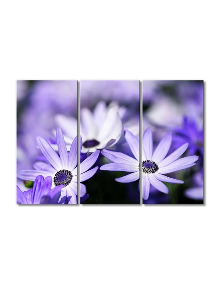 Картина модульная Светло-фиолетовая диморфотека 3 модуля 90x135 см