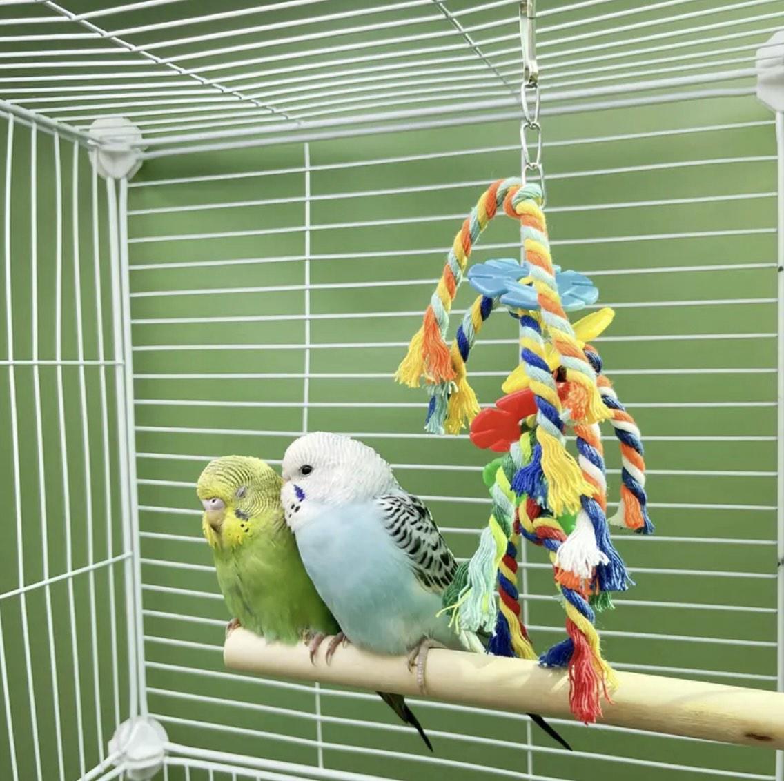 Іграшка плетена для папуг 2 шт. Різнокольоровий (345434534) - фото 4 Іграшка плетена для папуг 2 шт. Різнокольоровий (345434534) - фото 4