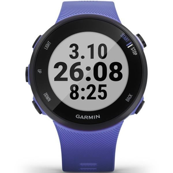 Часы Garmin Forerunner 45 Small Iris (010-02156-11)