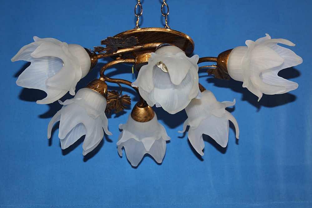 Люстра с плафонами Ray L10072A/6 (IR005887)