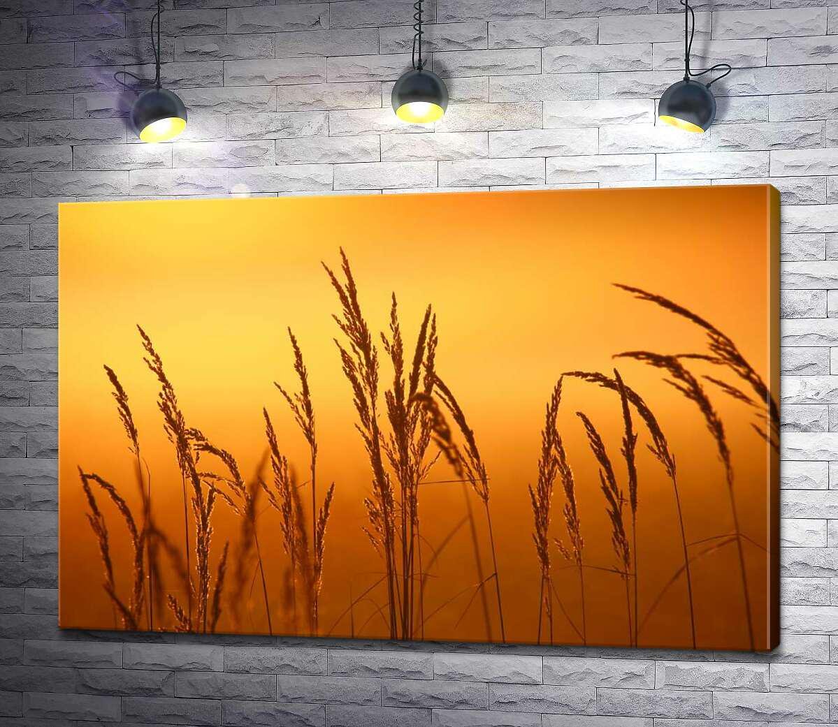 Картина ArtPoster Пухнасті китиці трави на тлі золотого неба 100x67 см Модуль №1 (003652)