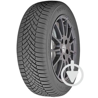 Автошина TOYO Observe EWS1 255/45 R19 104V XL