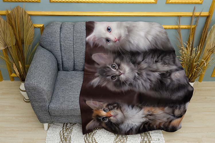 Плед Kittens Best Friends плюш однослойный 135х150 см (113991)