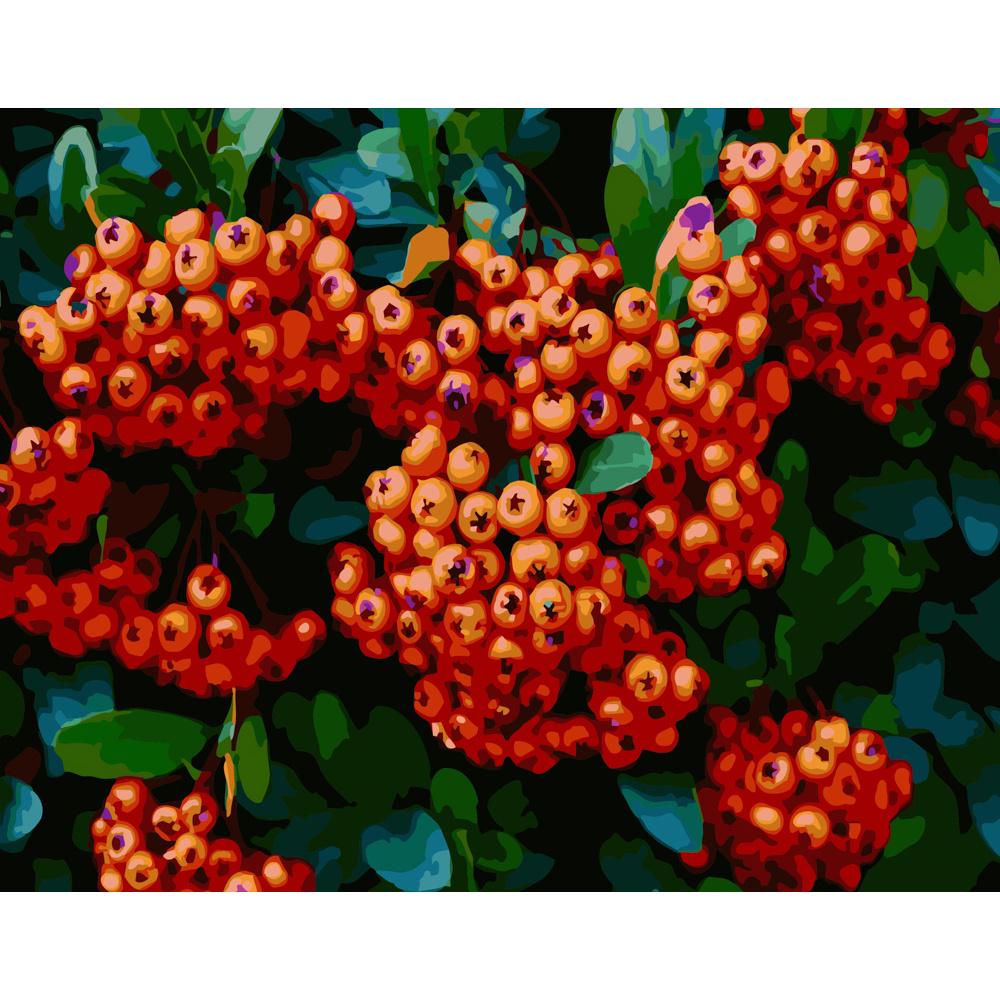 Картина за номерами Strateg Преміум Яскрава горобина 40х50 см (GS254)