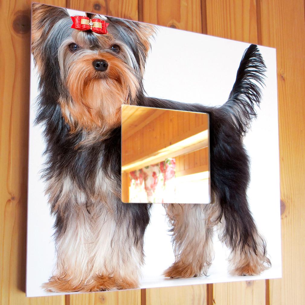 Зеркало декоративное Йоркширский терьер 260х260 мм (M03732)