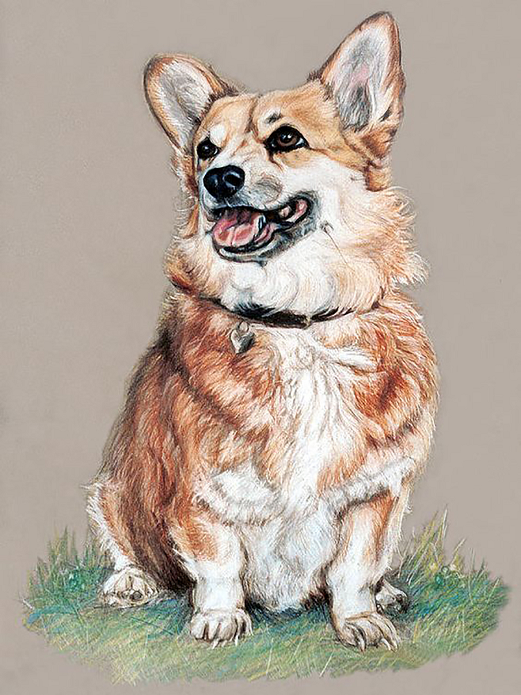 Алмазная мозаика Чарівний діамант Вельш корги 40x30 см (КДИ-1441)