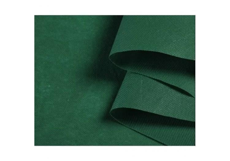 Агроволокно Agreen 50 г/м2 1,6х5 м Темно-зеленый (57942) Агроволокно Agreen 50 г/м2 1,6х5 м Темно-зеленый (57942)