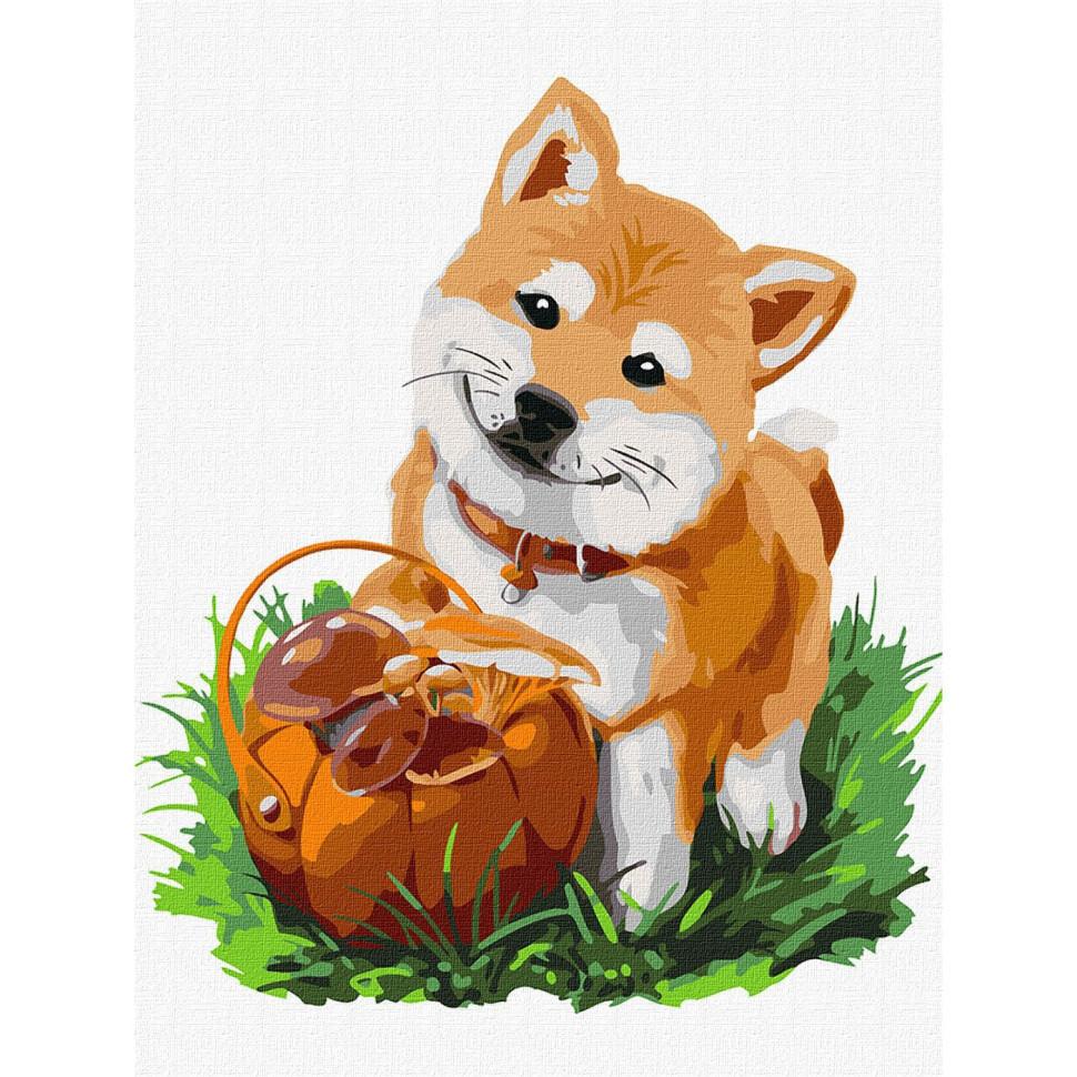 Картина за номерами Ідейка Лісові пригоди 30х40 см (KHO4307)