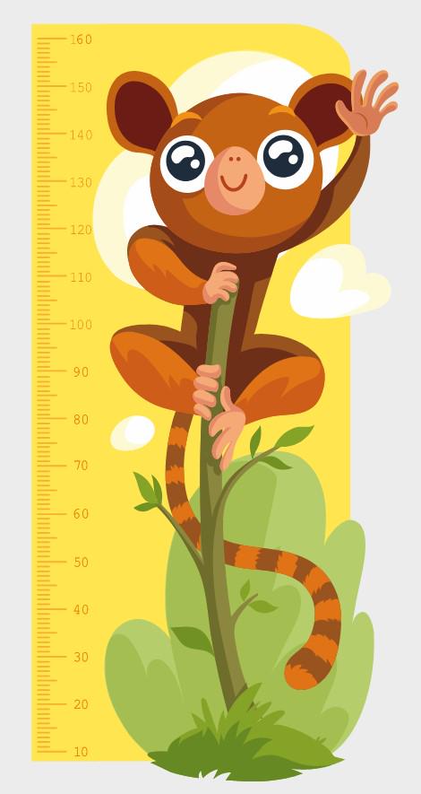 Ростомер для школы/детского сада Коала 780х1600 мм (RM0012)