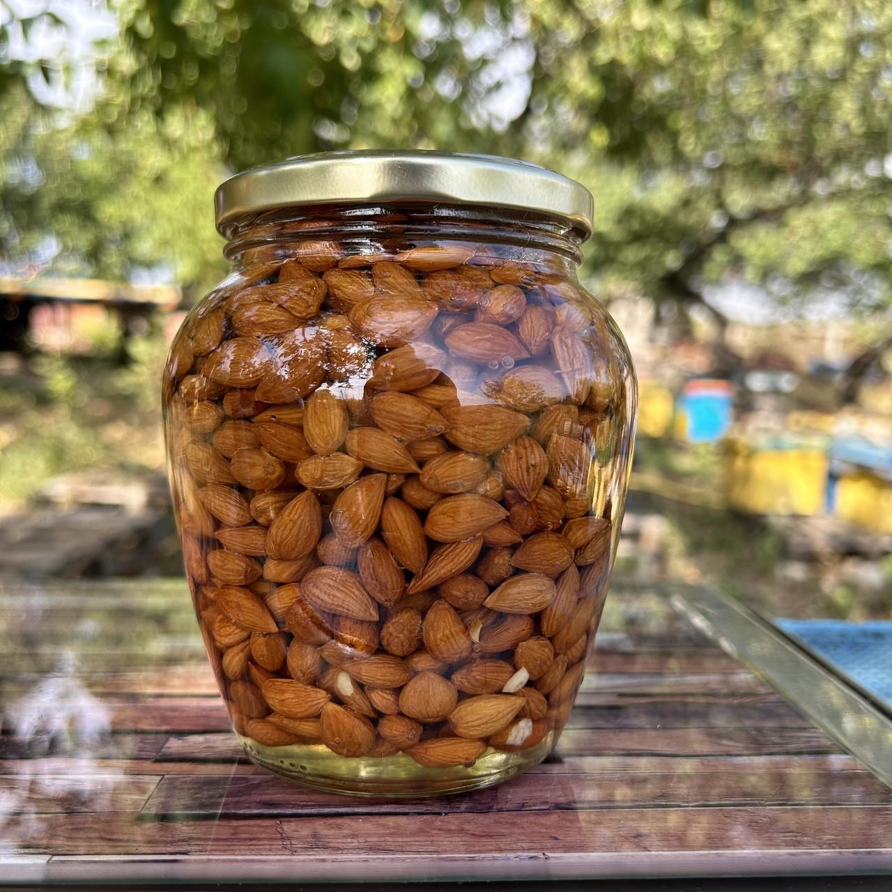 Ядра косточки абрикоса в меду акации 0,7 л 850 г (2117589199)